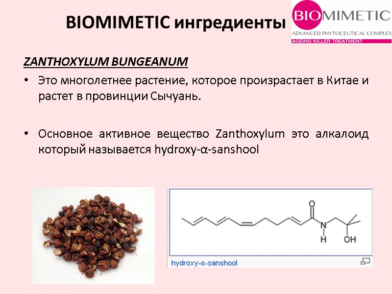 ZANTHOXYLUM BUNGEANUM  Это многолетнее растение, которое произрастает в Китае и растет в провинции